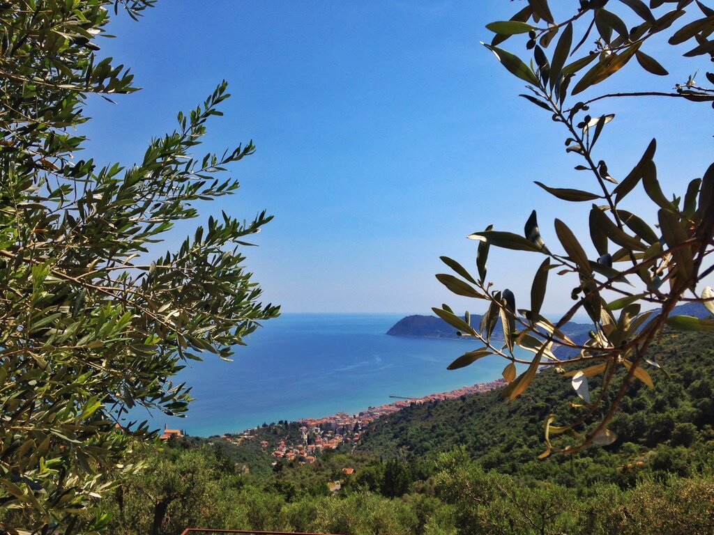 Vista mare di Alassio dalla Villa della Pergola | © Archivio foto visitalassio.com