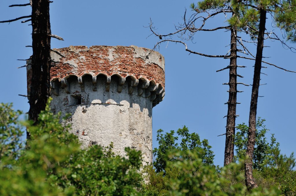 Torre Di Vegliasco 3