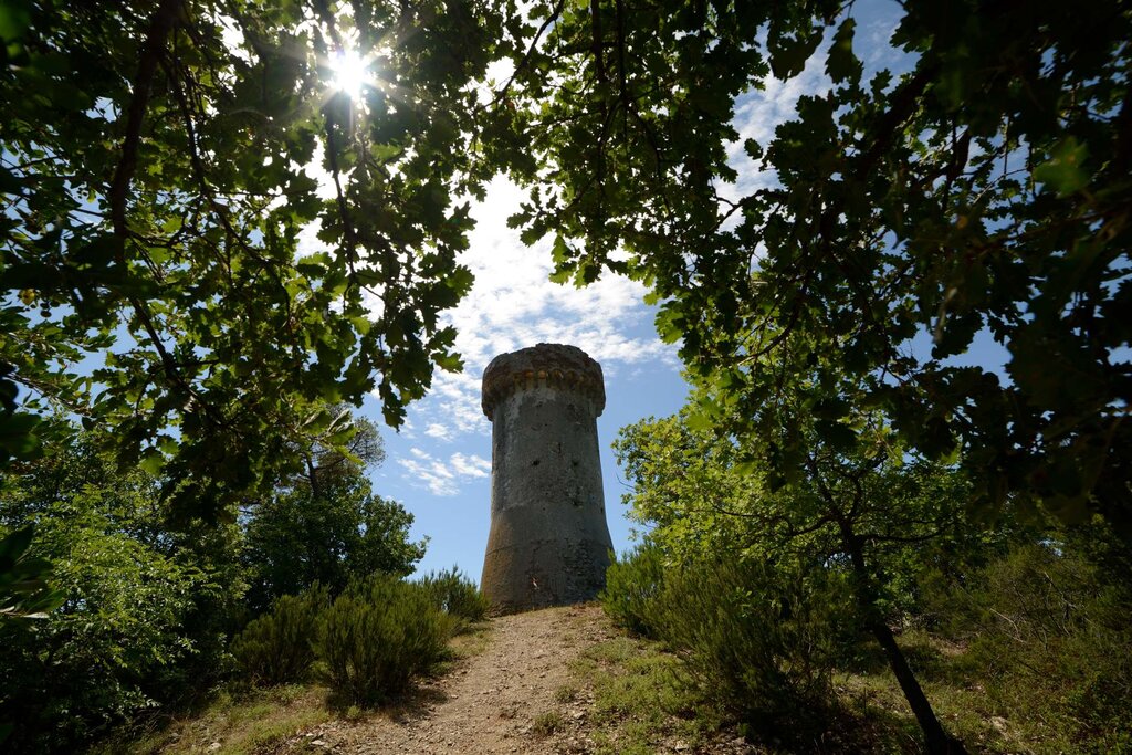 Torre Di Vegliasco