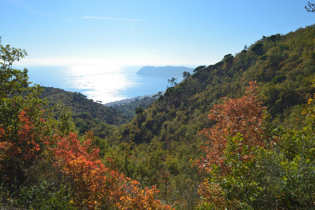 Alassio Wop Panorama04