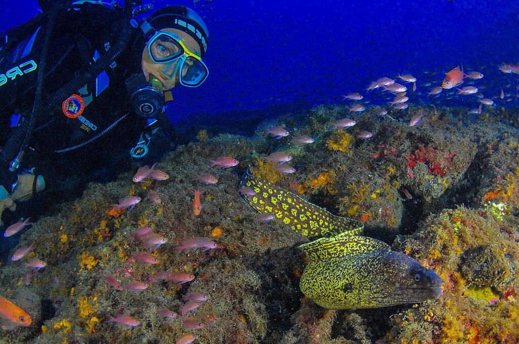 The meadow beneath the waves