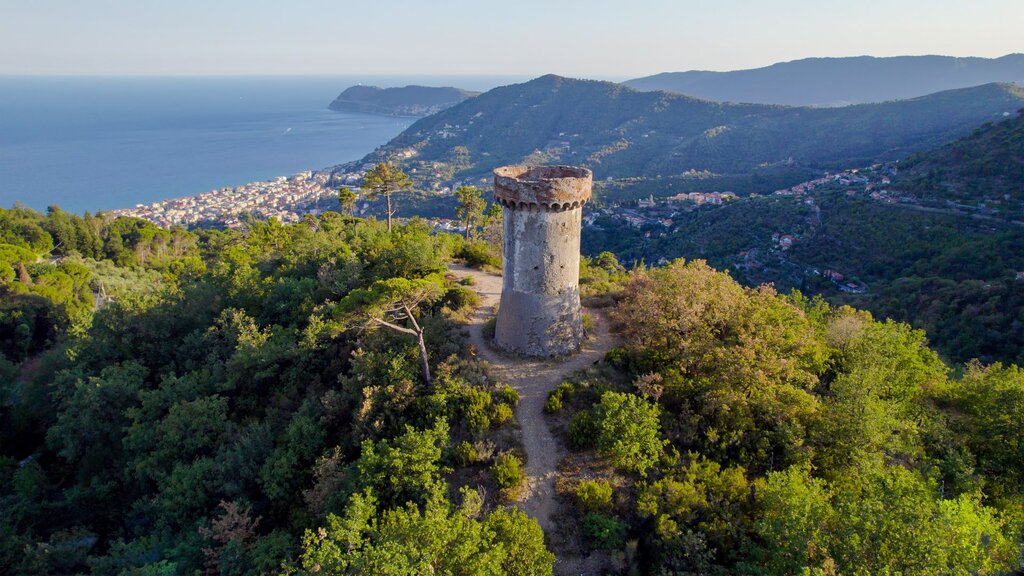 Torre Di Vegliasco (3)