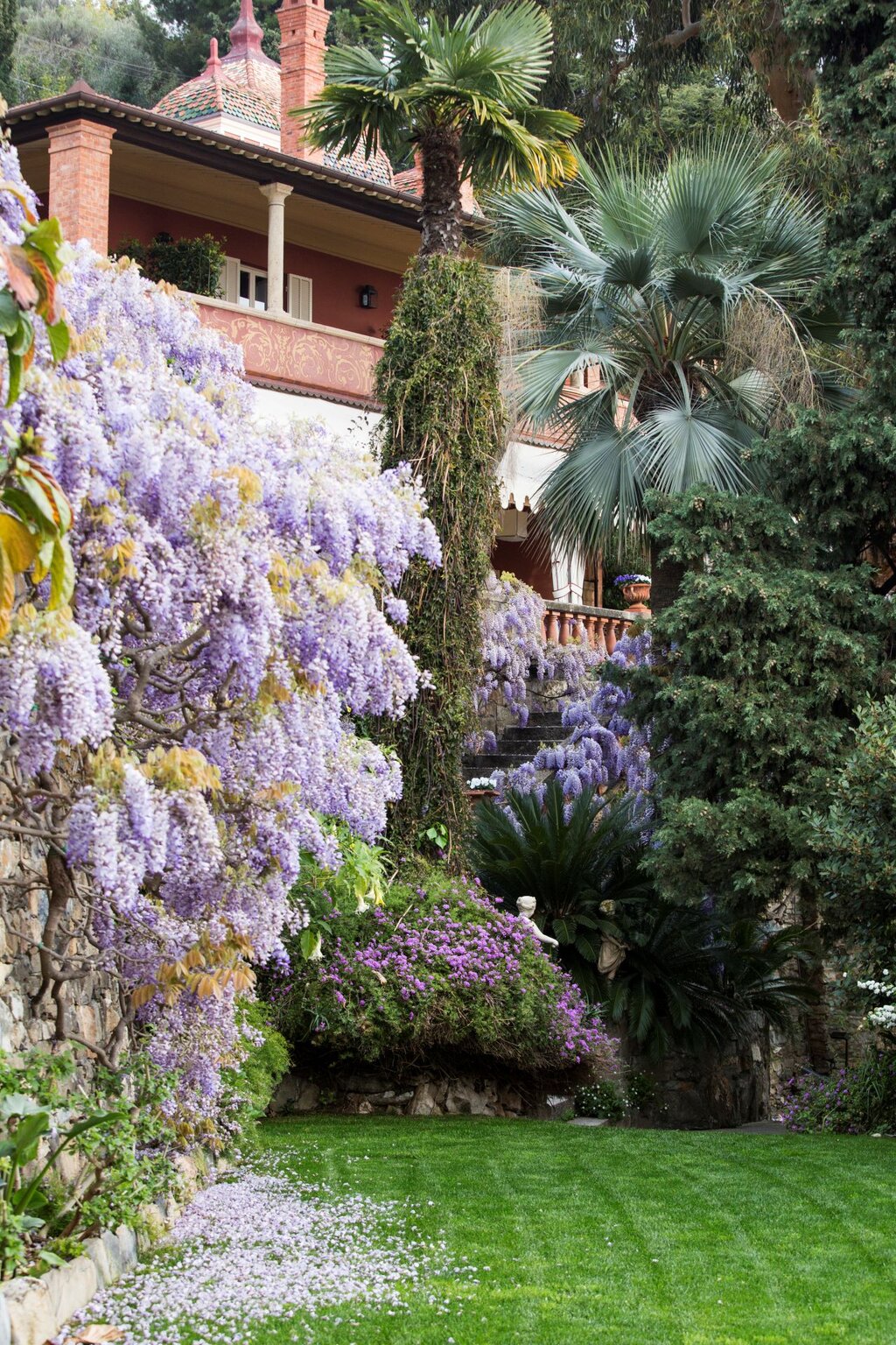 Villa Della Pergola E Glicine Sinensis E VDP Carassale