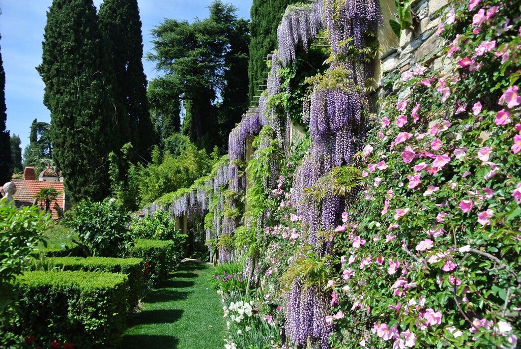 Villa Della Pergola Giardini E Glicine Ph. Archivio Villa Della Pergola