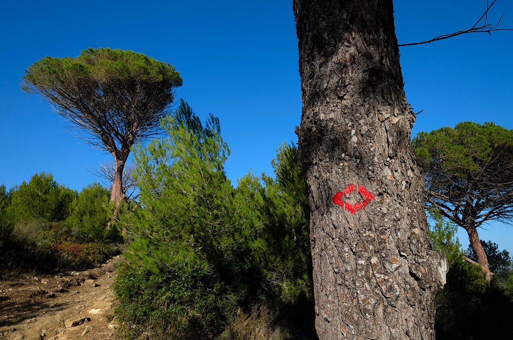 Percorso panoramico Alassio Laigueglia