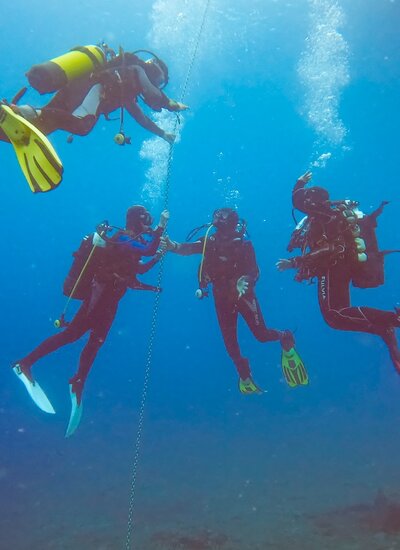 Diving in Alassio