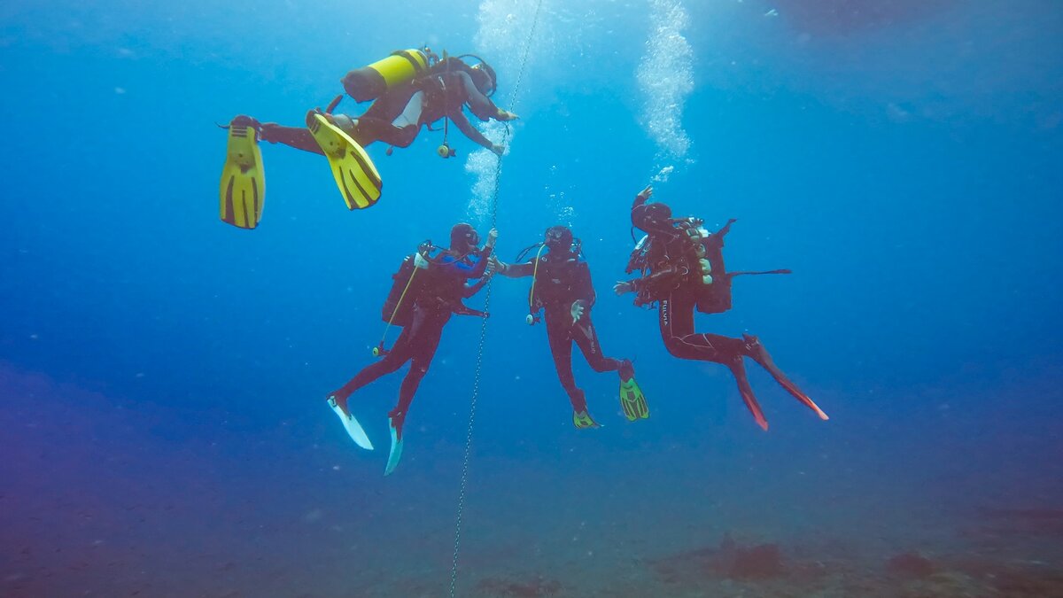 Diving in Alassio