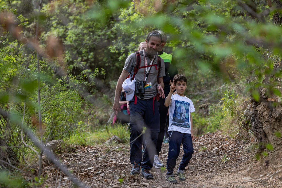 Walks for all