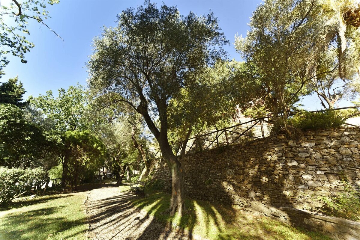 Beschatteter Weg mit Bäumen und Steinmauer in einem sonnigen Park.