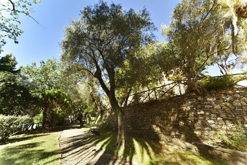 Der Rundgang im Park in... 80 Pflanzen