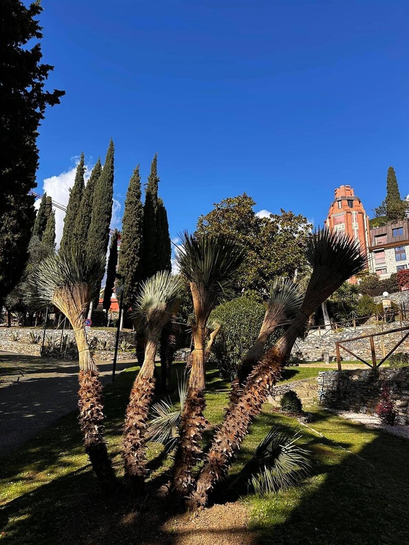 Piante mostruose e dove trovarle