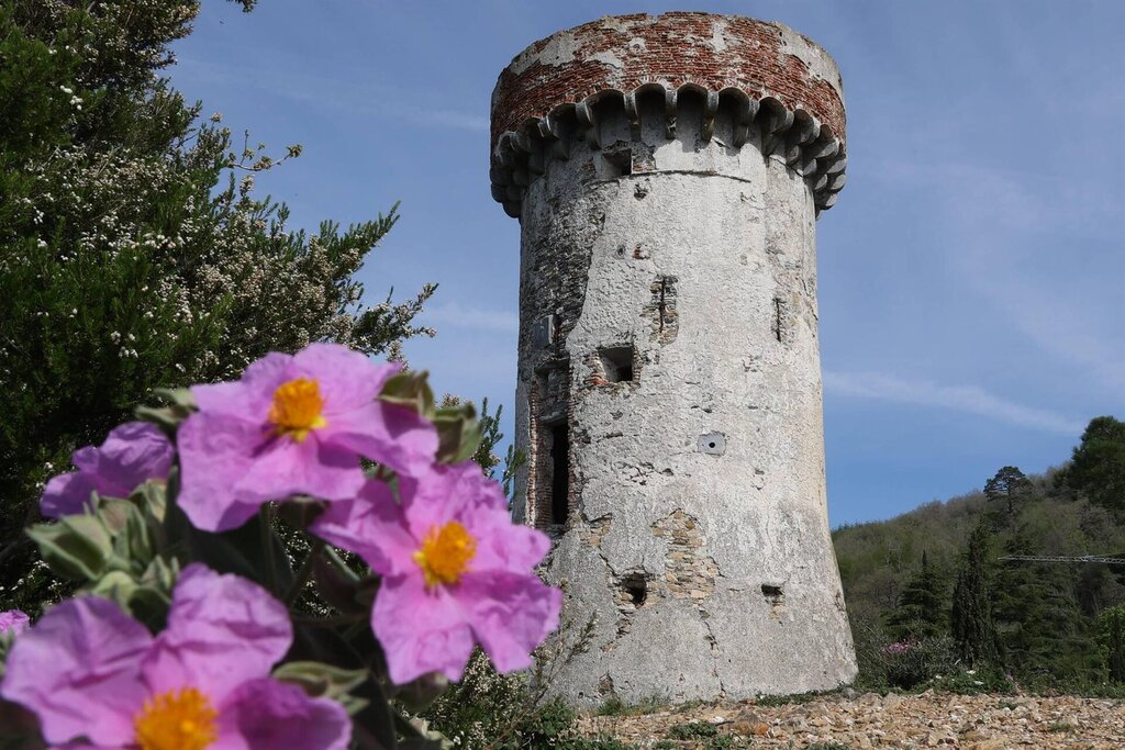 foto torre