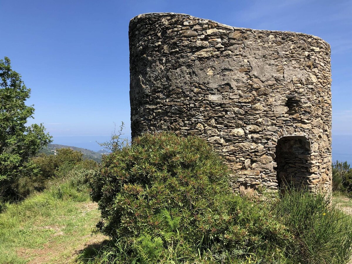 Torre Pisana