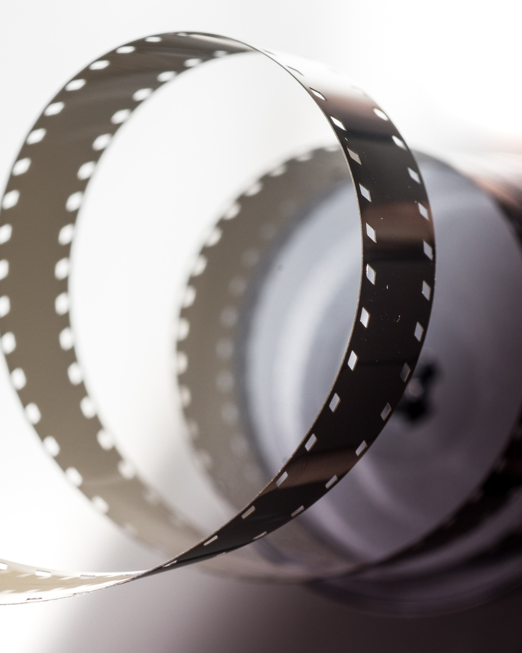 Cineforum "Il Cinema, che passione!"