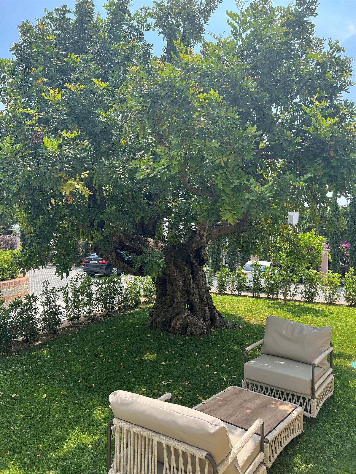 giardino appartamento palazzina A
