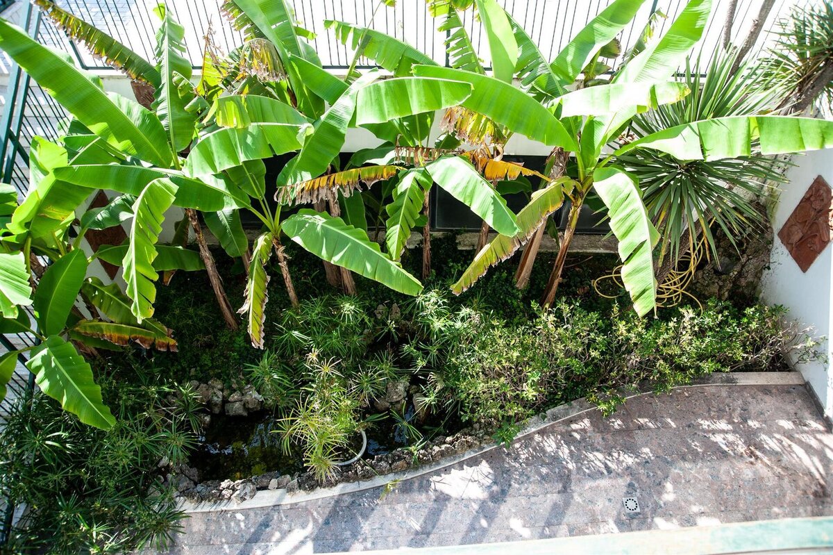 laghetto