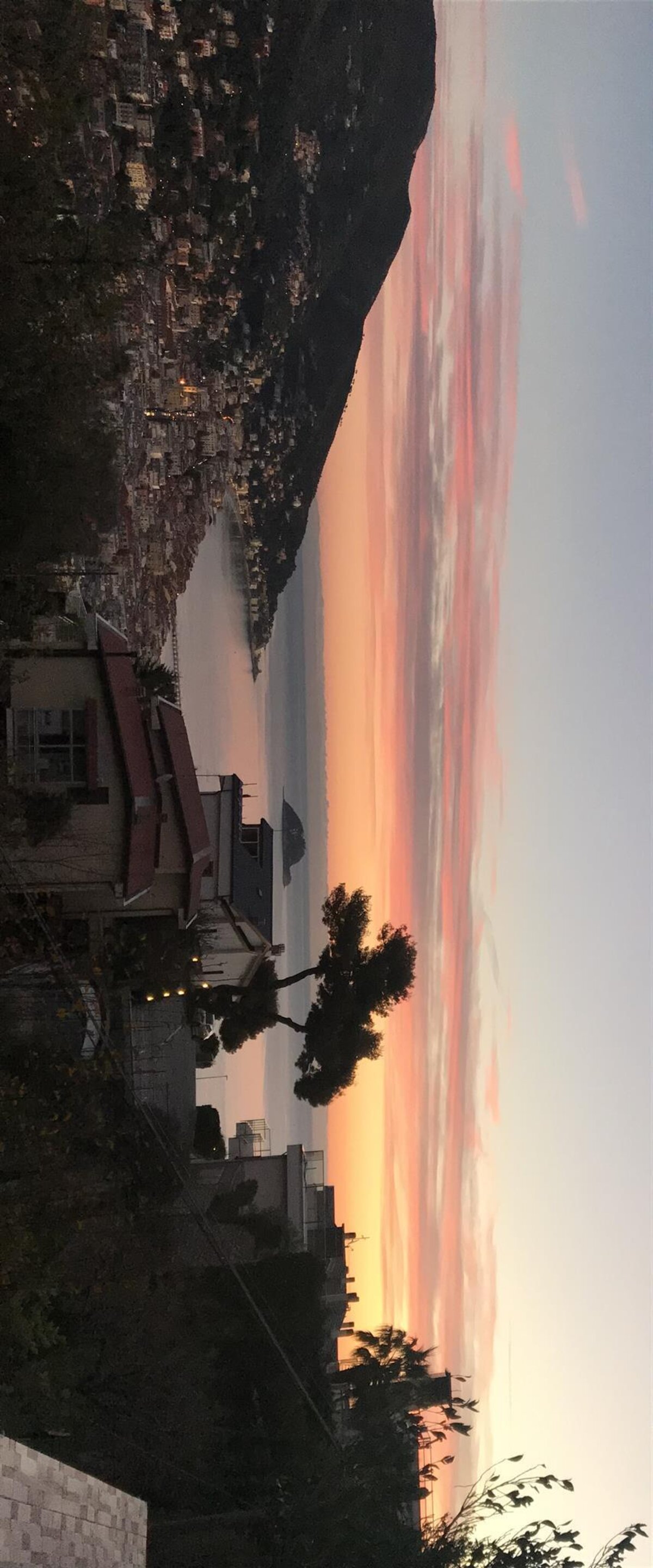 ILGATTOCARLA2