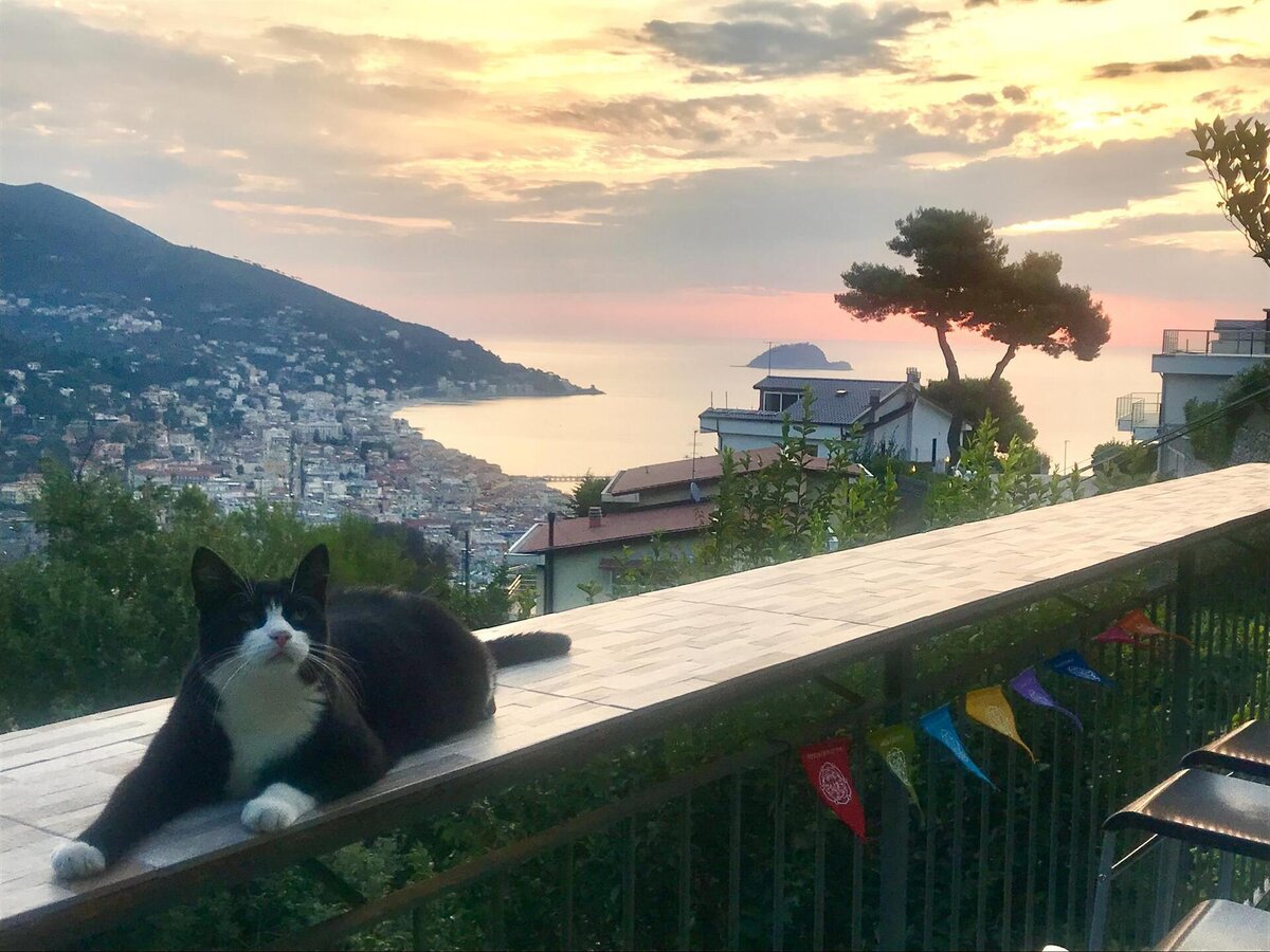 ILGATTOCARLA7