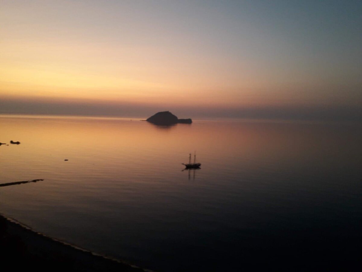 IMG-20200106-WA0009
