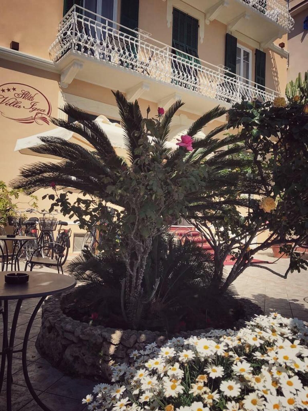 Giardino