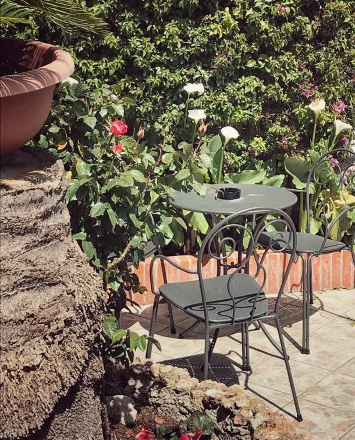 Giardino