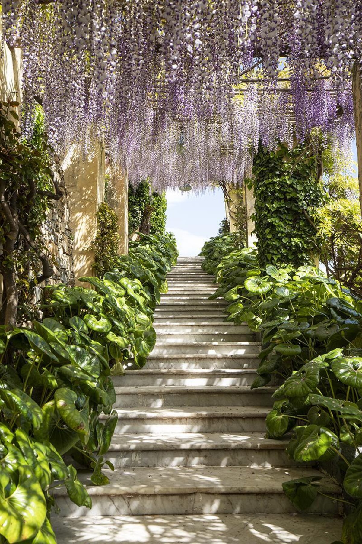 Giardini Villa Pergola