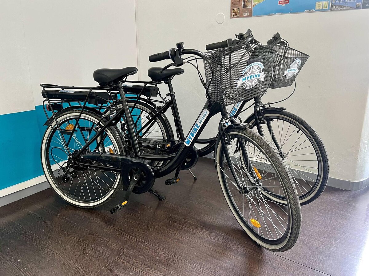 Ebike