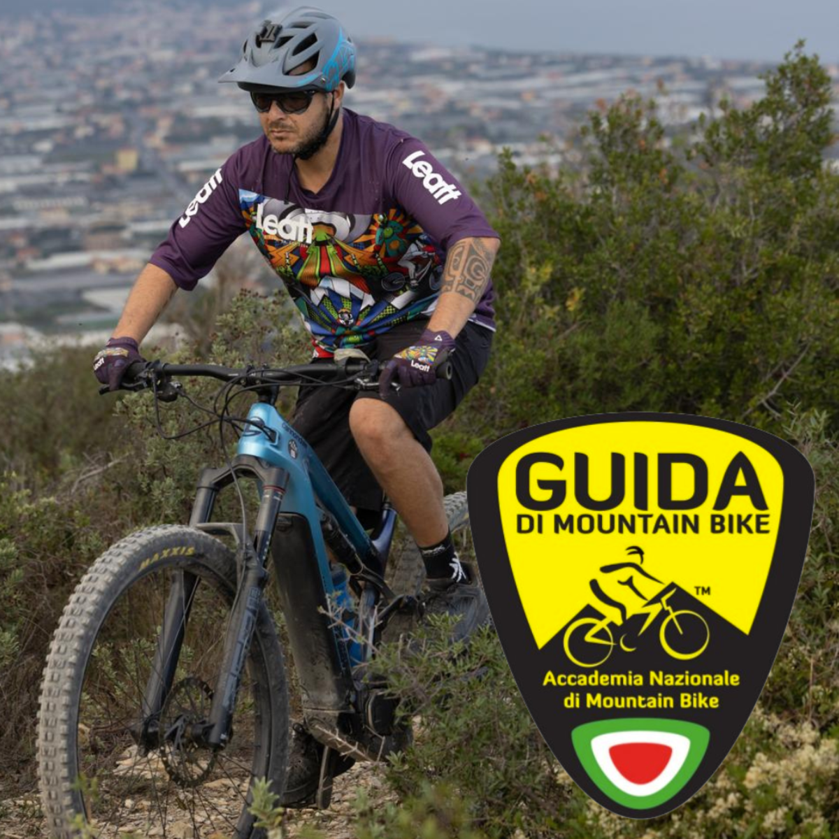 Tour guidato