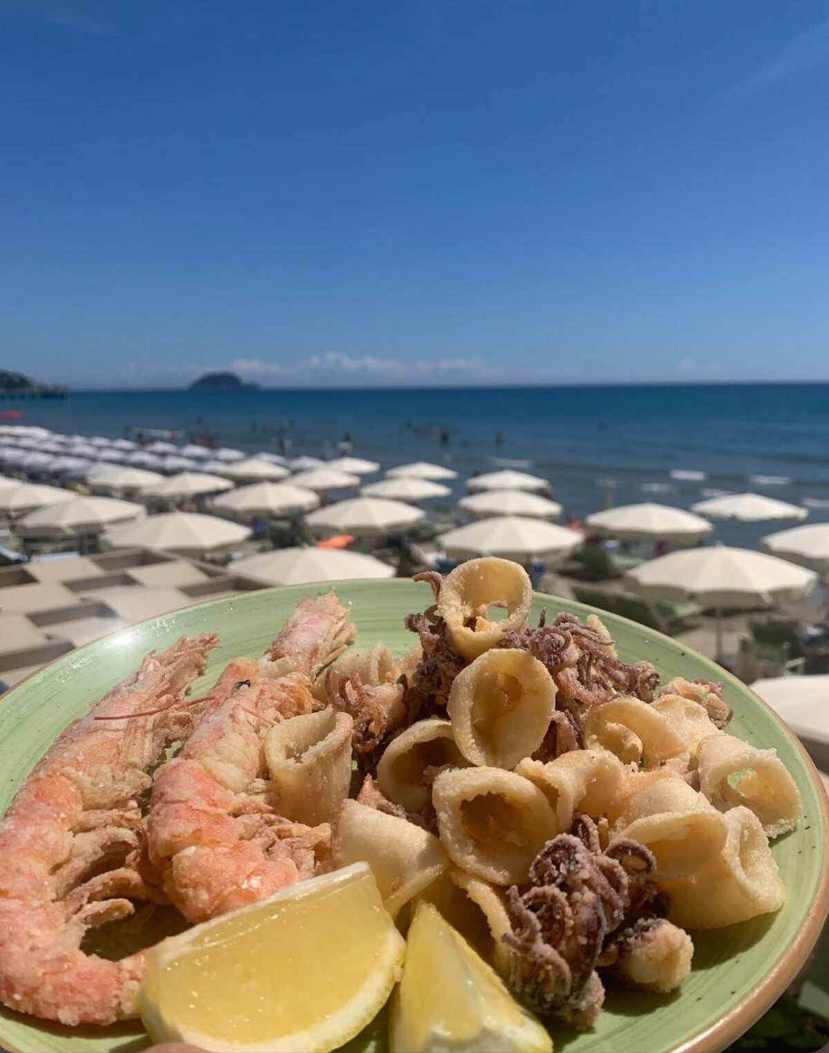 Salsedine vino e cucina